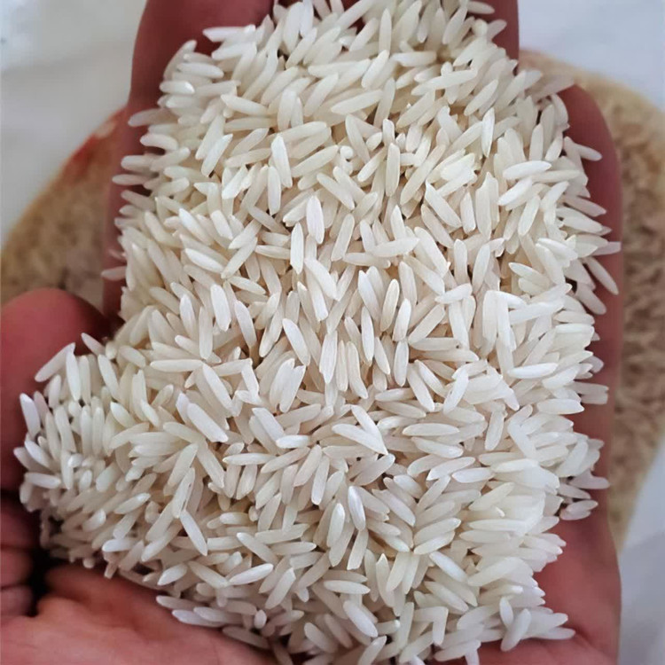 سوپر برنج طارم معطر کشت دوم مزرعه فریدونکنار درجه یک