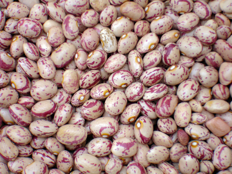 لوبیا چیتی ممتاز درجه 1