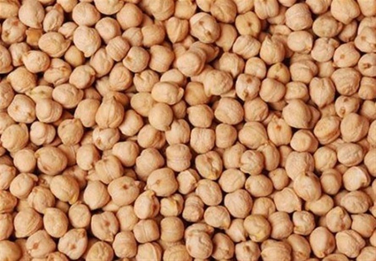 نخود ممتاز درجه 1